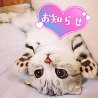 宮崎ちゃんこ都城店　せな