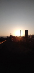 宮崎ちゃんこ都城店　なつこ