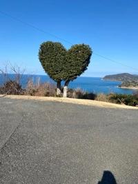 待ちナビ まな ありがとうございました