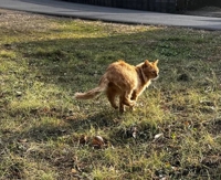 TheGrandPhoenix　みほ※令和初の超感動！