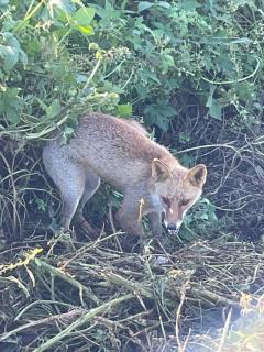 Roots(ルーツ)　♡逆夜這いコース♡