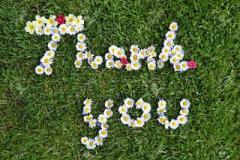 ウイング　リノ