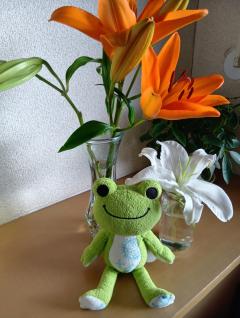 ご主人様いらっしゃい 大分店　ｳﾒ♡週末オールナイト