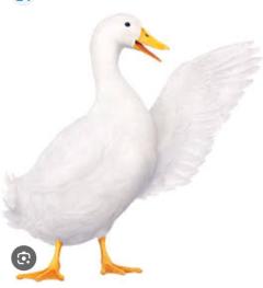 CLUB LUMINE Haru【ハル】 ?愉快なお兄さん?