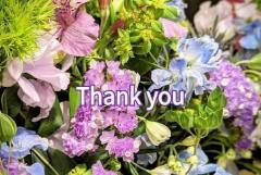 鹿児島ちゃんこ薩摩川内店 なな チャオ１２?