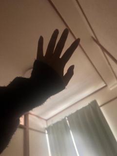 鹿児島ちゃんこ薩摩川内店　すいれん