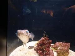 鹿児島天文館デリヘルLOVEVE～ラヴィーヴ～　