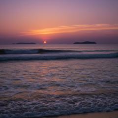 鶴富屋敷 ヒナ、(癒しの女王) 日々是好日☆