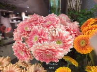 待ちナビ　なずな