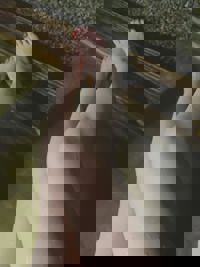 大人の遊園痴「スピーディー」　りつ（敏感で癒し系）