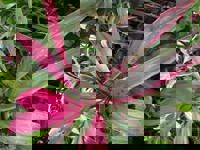 大人の遊園痴「スピーディー」　りつ（敏感で癒し系）