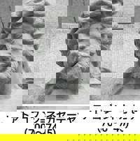 宮崎ちゃんこ中央通店　ぼたん