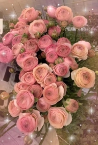 待ちナビ　しょうこ