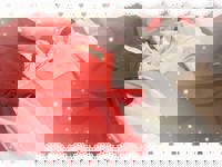 宮崎ちゃんこ中央通店 ここあ 出勤します！