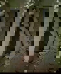 ウォーターゲート　新人☆すみれ