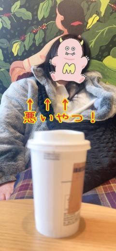 JaPON　楓ｶｴﾃﾞ