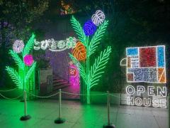 ぷにっ娘　紗子ｻｴｺ