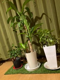 人妻宅急便　小夜(さよ)美熟女