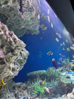 ぷにっ娘　新人奈未ﾅﾐ