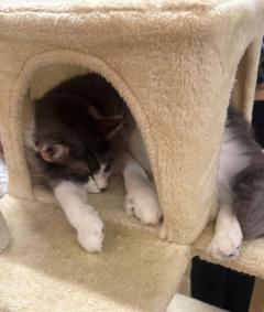 INFINITY沖縄　さよ