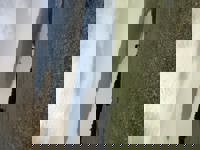 大人の遊園痴「スピーディー」 りつ（敏感で癒し系） ありがとうございます