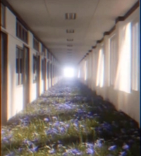 フェアリー【鹿児島店】 まいか【Hカップドエロ娘♡】 【短編小説】地図