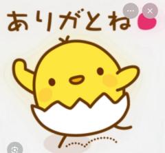 CLUB LUMINE　Haru【ハル】