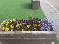 人妻宅急便　小夜(さよ)美熟女