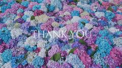 Roots(ルーツ) 凛♡体験 昨日の本指名様☆