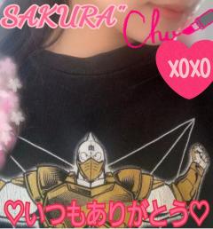 MICHELIN ミシュラン　サクラSakura