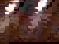 LOHAS(ロハス)(メンズエステ) ひまり