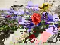 大人の遊園痴「スピーディー」 宮崎市デリヘル りつ（敏感で癒し系） 写メ日記「デートコースのリピーター様」