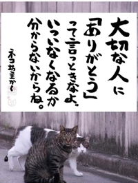 待ちナビ　らん