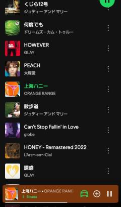 鹿児島ちゃんこ 天文館店　ともえ