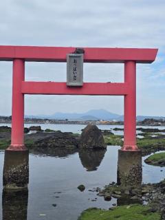 鹿児島ちゃんこ 天文館店　ともえ