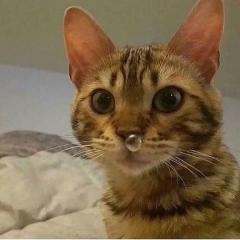 SUZUME ちはる こんにちは(?????▽?????)