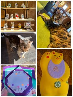 ご主人様いらっしゃい 大分店 神舌ゆい♡最強エロ女（痩せてきた） こんばんは