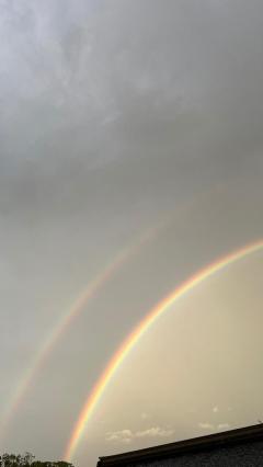 ぷにっ娘　新人!若葉ﾜｶﾊﾞ