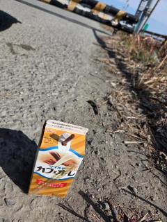 Spica(すぴか)　新★まい★完全業界初！