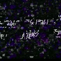 昨夜のお礼だよ？