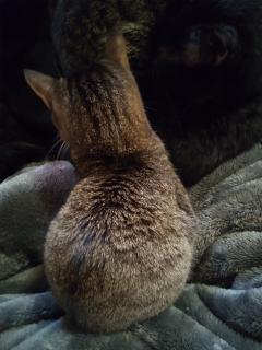 保険屋のおばちゃん まり おはようございます🤗