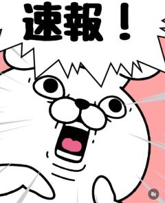 NEWビビアン＆ガールズコレクション　♢くらん♢