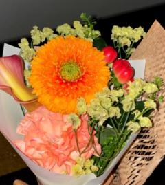 ぷにっ娘 新人!若葉ﾜｶﾊﾞ 悲しい〜?