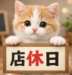 MANIN-ONREIマン淫御礼　菜々緒（ななお）超美人