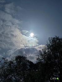 鹿児島ちゃんこ 霧島店　しずか