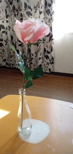 宮崎ちゃんこ都城店 なつこ 今日も一日有難うございました