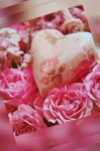 鹿児島ちゃんこ薩摩川内店　せいこ