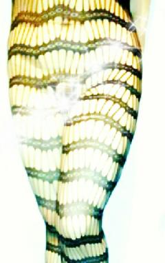 おかあさんといっしょ宮崎店 さち☆悩殺セクシー美妻 １月31日　　ありがとう