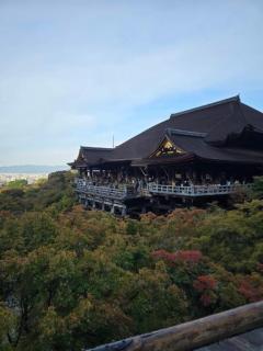 Spica(すぴか) ★さくらこ★WHITEコース 向かってます?