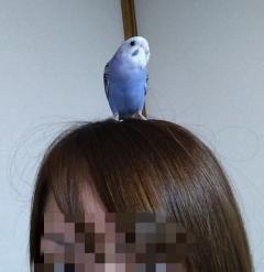 Liberty(リバティ)　サナ♡sana